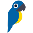 Polly Lingual icon