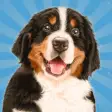 Dog Simulator Puppy Pet Hotel