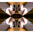 Icon of program: iFoxSoft Photo Collage