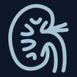 Ikon program: kidney.wiki: learn kidney…