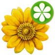 Programikonen: Meine Bachblüten