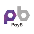 Programikonen: PayB