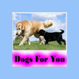 ไอคอนของโปรแกรม: Dogs For You