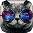 程序图标：Hipster Wallpapers