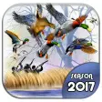 Icône du programme : Duck Hunting 3D: Seasons …