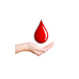 プログラムのアイコン：Red Blood Donors