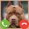 プログラムのアイコン：Fake Call Pitbull Game