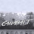 Pictogram van programma: Canabalt