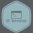 プログラムのアイコン：Salesforce Terminal