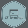 Icon of program: Salesforce Terminal