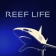 Programikonen: Reef Life