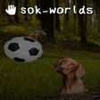 Ikona programu: Sok-Worlds