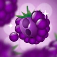 Programikonen: Berry Loop - Cozy Puzzle