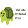 Programikonen: Focus Turtle