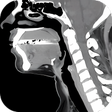 程序图标：CT Neck