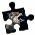 프로그램 아이콘: Wolf Lovers Puzzle