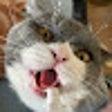 ไอคอนของโปรแกรม: MOCK-PLUS