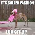 Icon of program: make meme fashion trends …