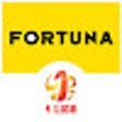 Icoon van programma: Fortuna 1 Liga