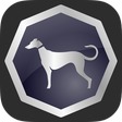 Biểu tượng của chương trình: Sighthound Video