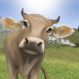 程序图标：Farm funny games