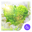 程序图标：Green Spring Forest-APUS …
