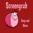 Programikonen: Screengrub Image Capture
