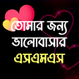Programikonen: ভলবসর sms 2023 - Love Sms