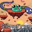 أيقونة البرنامج: Slimefrog