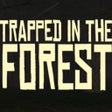 Programikonen: Trapped in the Forest