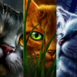 Icon of program: Arc 4 Guess the Warriors …