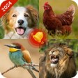 ไอคอนของโปรแกรม: Animal ringtones-Animal s…