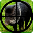 Programikonen: Wild Boar Hunting Calls