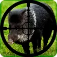 Wild Boar Hunting Calls