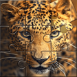 プログラムのアイコン：Wild Animals Puzzle Game