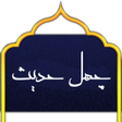 Programikonen: forty hadith shia