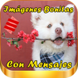 程序图标:Imagenes Bonitas con Mens…