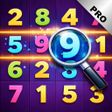 Programikonen: Hidden Numbers PRO