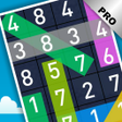Programikonen: Hidden Numbers PRO