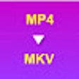 Icon of program: MP4 to MKV Converter