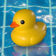 Ikon program: Placid Plastic Duck Simul…
