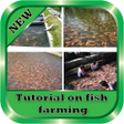 Ikona programu: Tutorial on fish farming