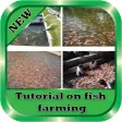 Tutorial on fish farming