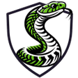 ไอคอนของโปรแกรม: Snake VPN