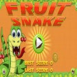 プログラムのアイコン：Fruit Snake Game