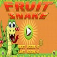 Fruit Snake Game