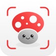 Ikona programu: Mushroom Identification
