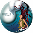 プログラムのアイコン：Selkie Rescue Data Recove…