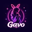 Programikonen: Gavo