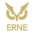 程序图标：ERNE Pickleball